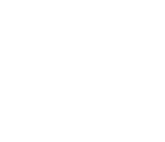 Wernerstiftelsen