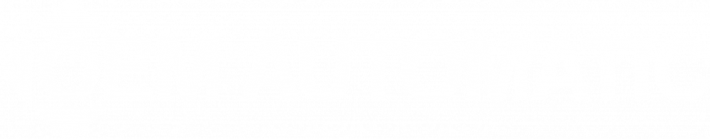 OEM Automatic